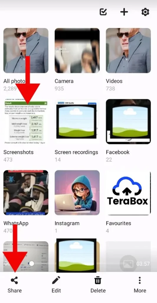 File selected on mobile screen with share button visible