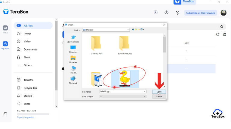 Selected files with open button in file window