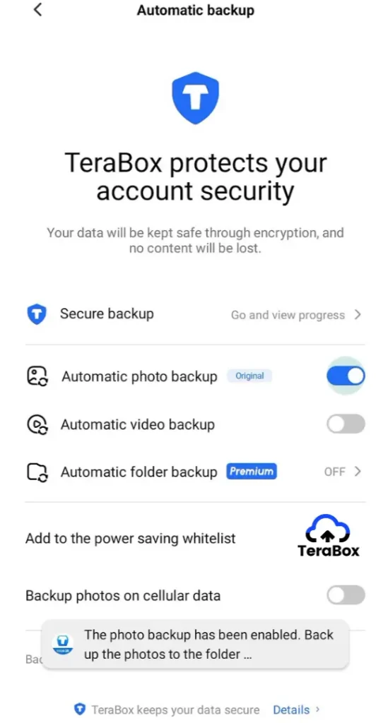 TeraBox screen with automatic backup toggle button