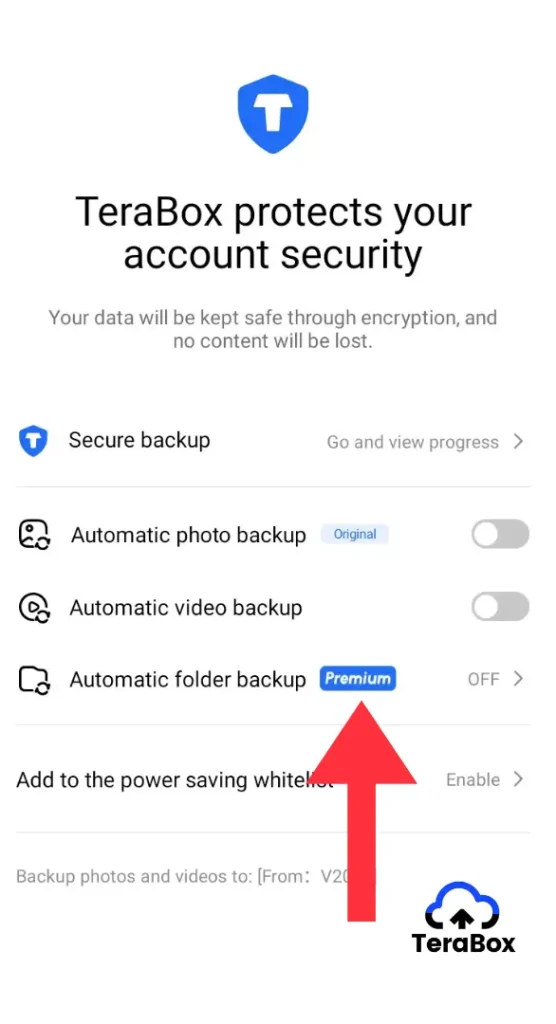 TeraBox backup for photos, videos; folder backup in premium features
