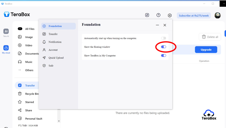 TeraBox settings screen with 'Show the floating window' toggle enabled