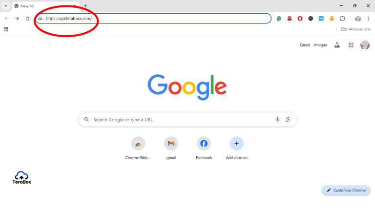 Google Chrome browser open with apkteraboxx.com typed in address bar