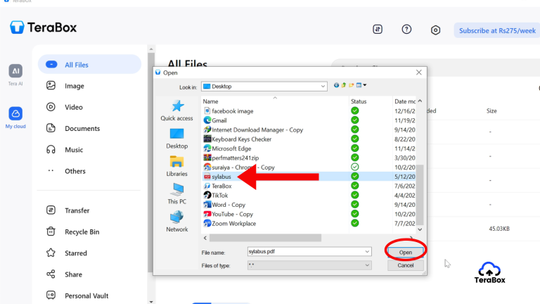 File selection window with chosen file and open button visible
