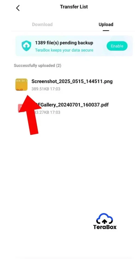 TeraBox screen showing uploaded file visible