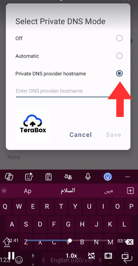 select Private DNS provider hostname