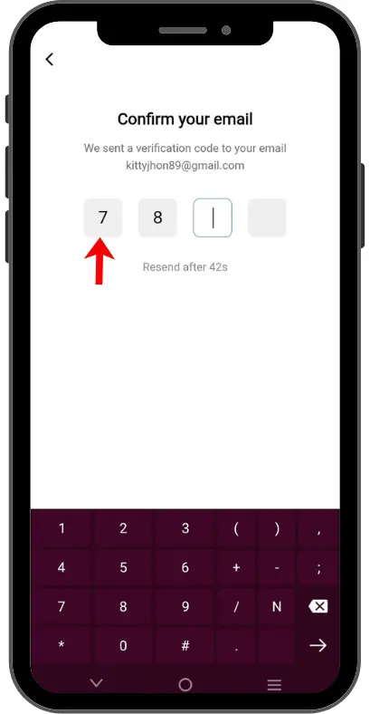 TeraBox Email Verification Code Screen
